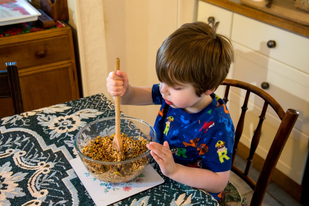 DIY: Easy Cookie Cutter Bird Feeders - Lukeosaurus And Me