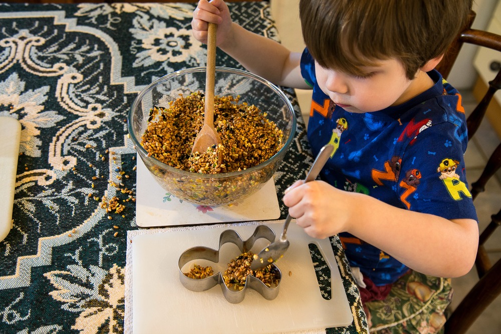 DIY: Easy Cookie Cutter Bird Feeders - Lukeosaurus And Me